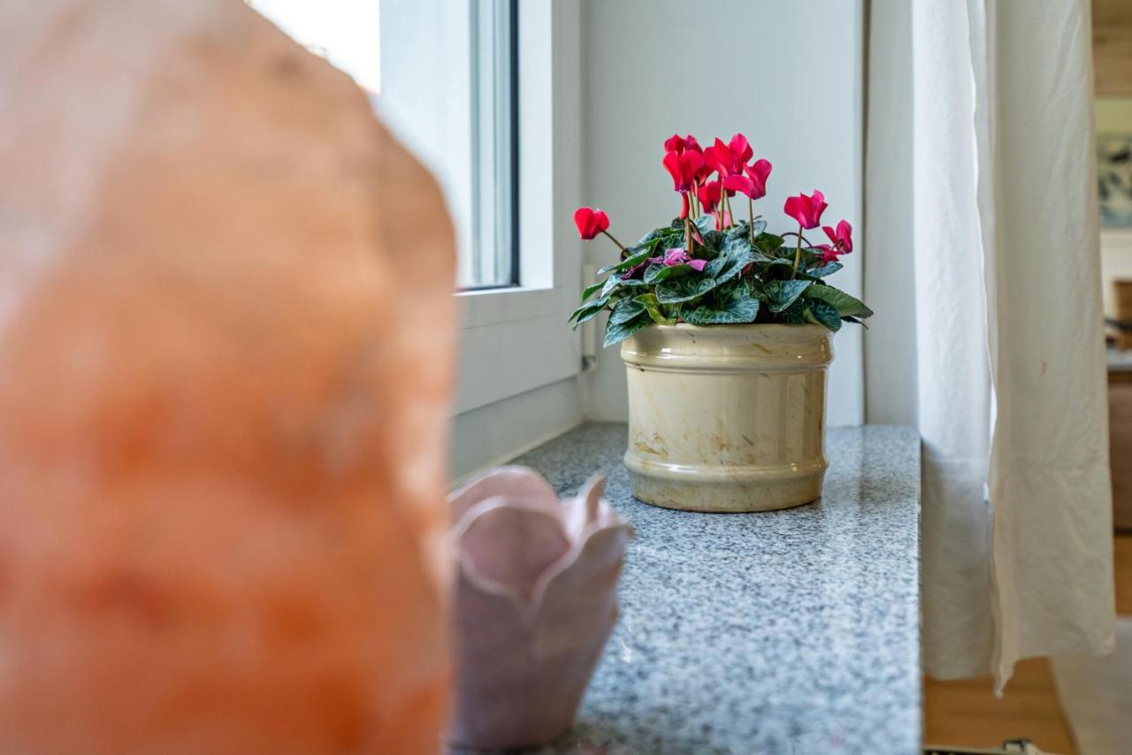 Appartment Piano Oberhaching Εξωτερικό φωτογραφία